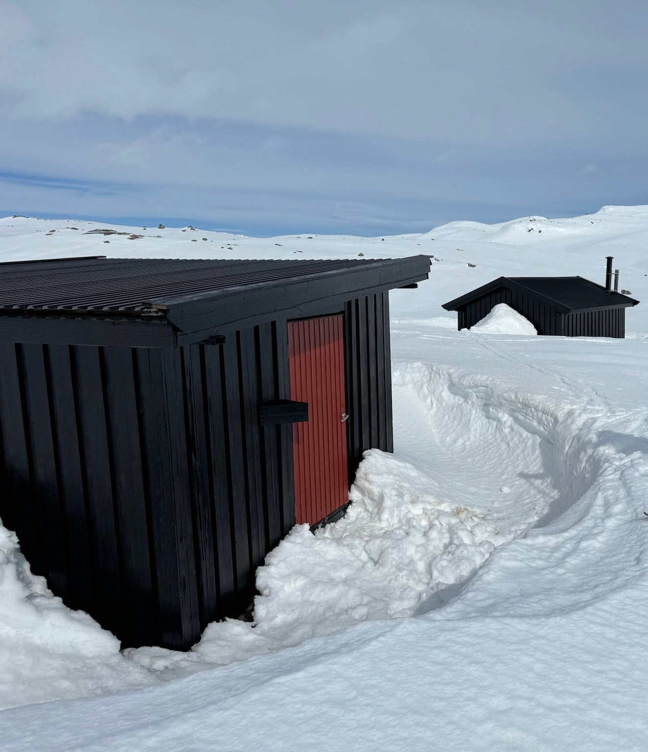 Reinsjakt Trollheimen pakke