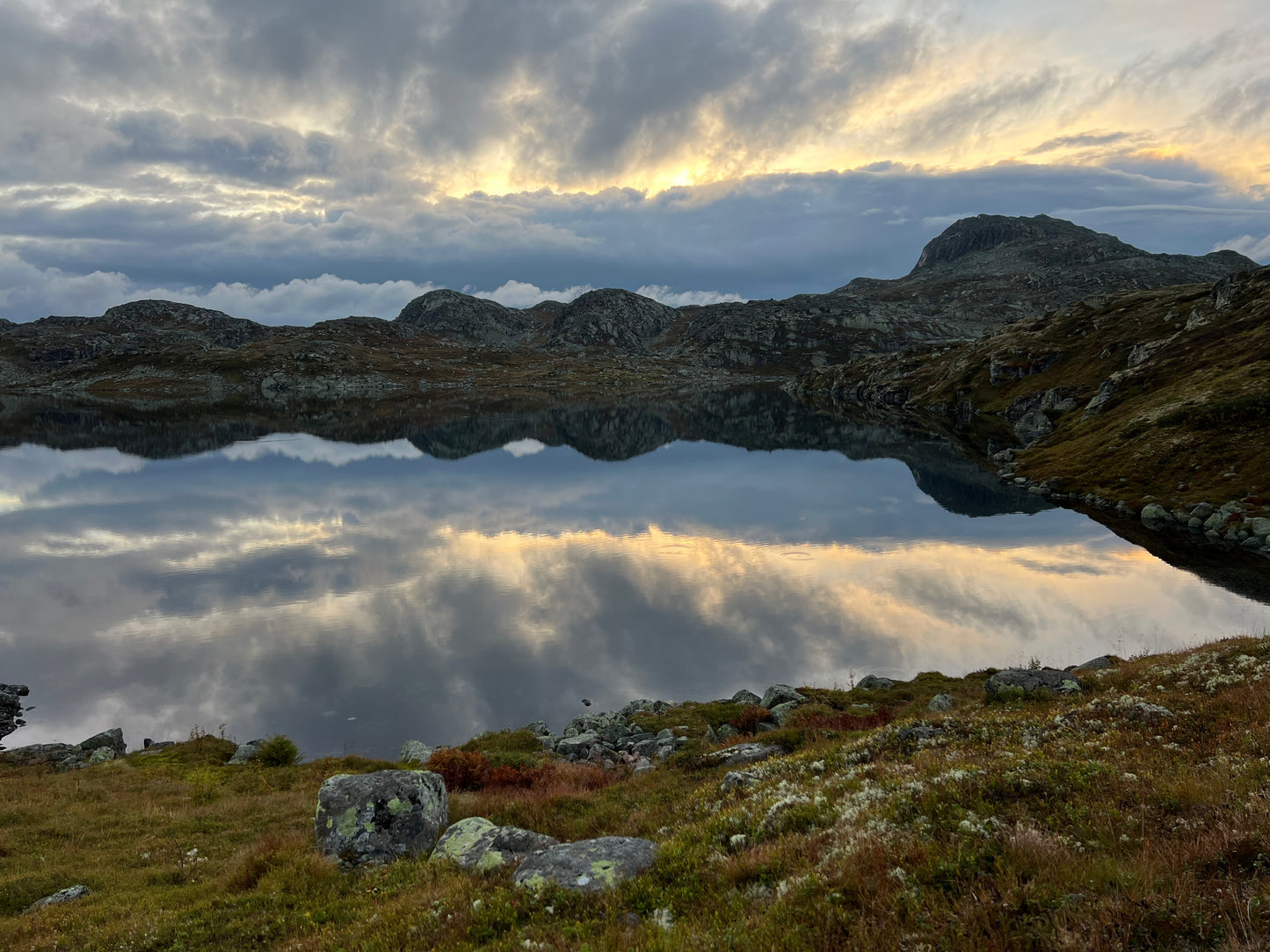 Reinsjakt Såtehytta pakke