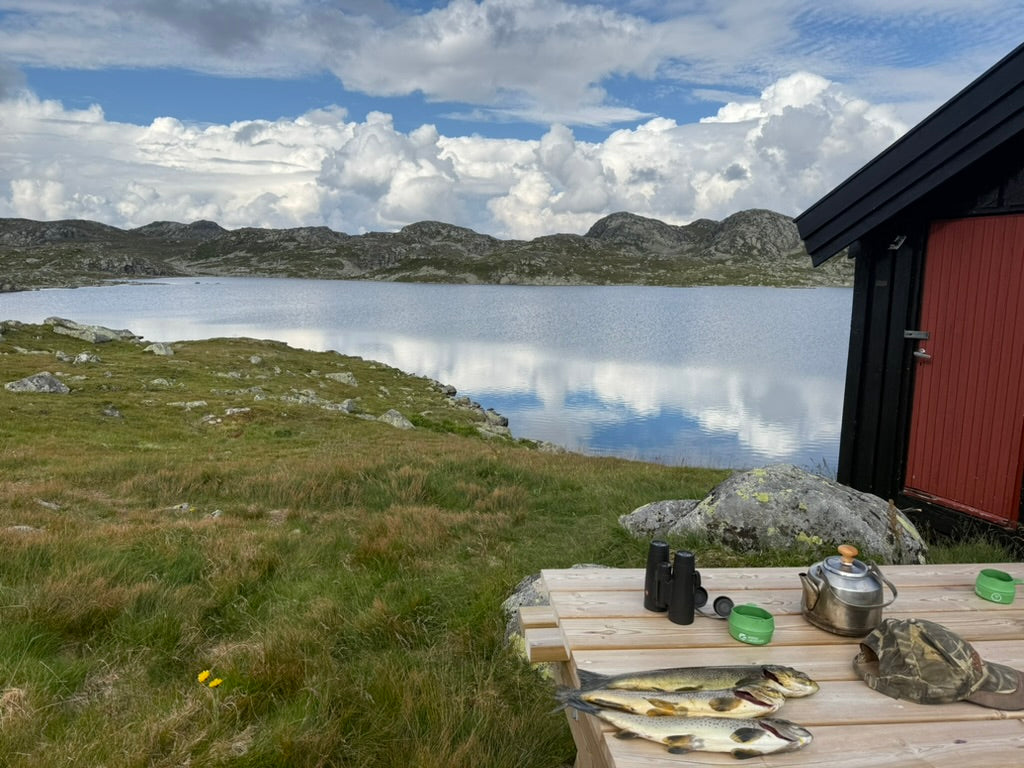 Reinsjakt Såtehytta pakke