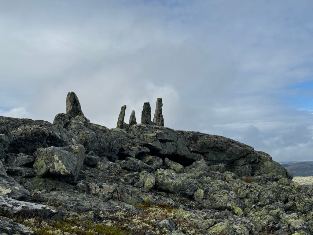 Reinsjakt Jutulsbu pakke